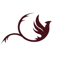 left-icon