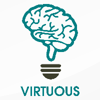 Virtuous Consulting Company