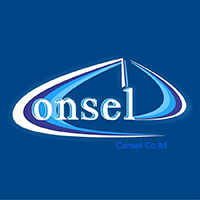 Consel LLC