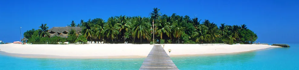 job-Header