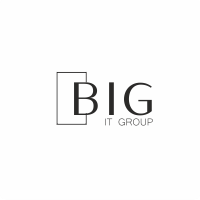 B.I.G. (BSG IT Group)