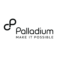 The Palladium Group