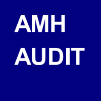 AMH Audit cjsc