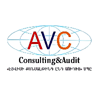 "AVC consulting and audit" LLC