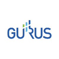 Gurus LLC