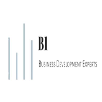 B1(Business Development Experts)